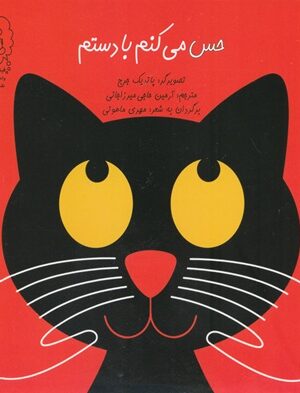 حس می‌کنم با دستم
