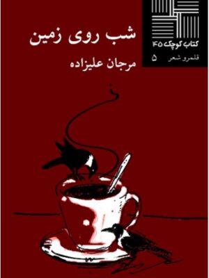 شب روی زمین