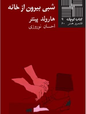 شبی بیرون از خانه