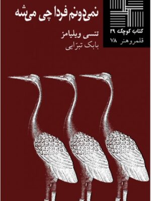 نمی‌دونم فردا چی می‌شه